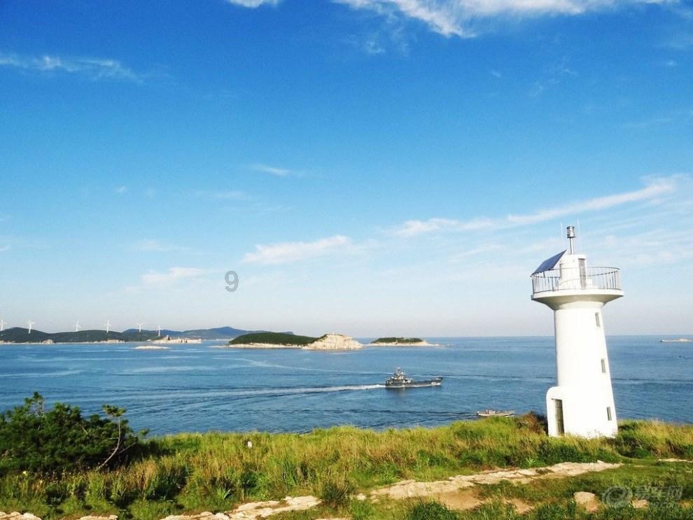 恐龙是怎么繁殖-专业问答平台,获取您所需的答案